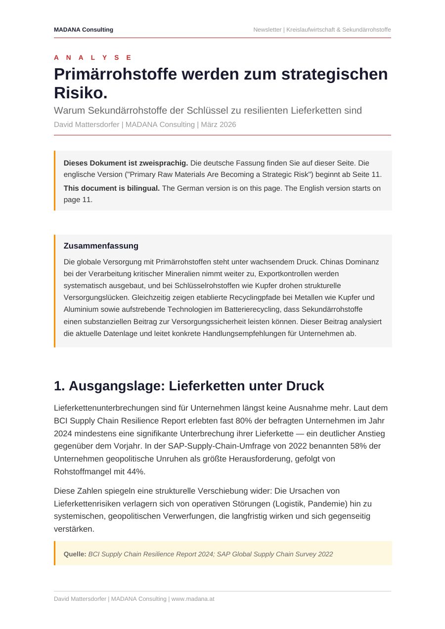Vorschau Seite 1: Primärrohstoffe werden zum strategischen Risiko